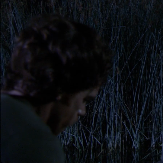 o13x9 - Visual Alchemist